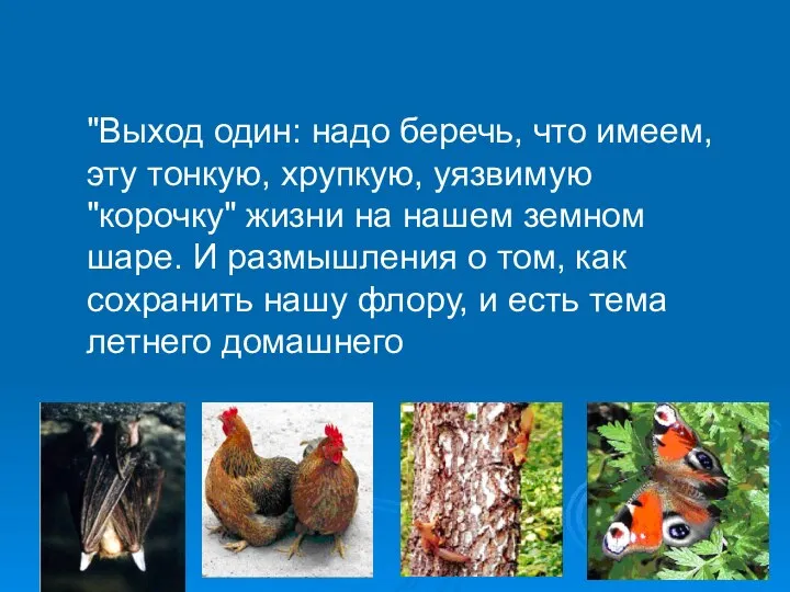 "Выход один: надо беречь, что имеем, эту тонкую, хрупкую, уязвимую "корочку"