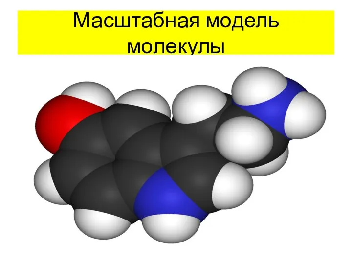 Масштабная модель молекулы