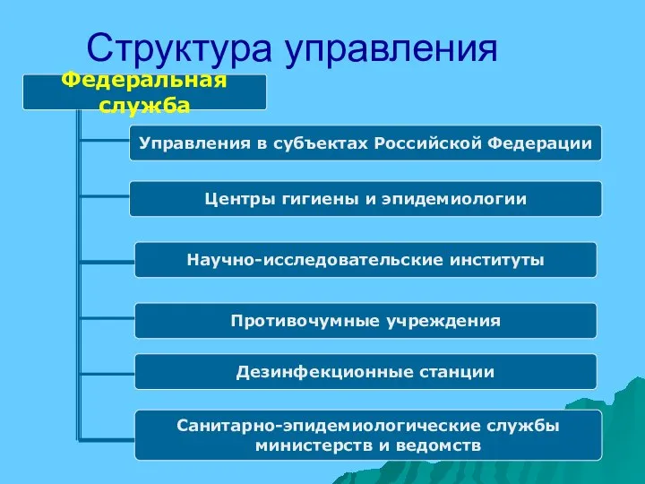 Структура управления Федеральная служба Управления в субъектах Российской Федерации Центры гигиены