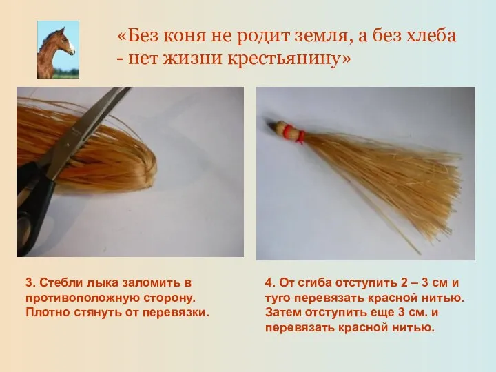 3. Стебли лыка заломить в противоположную сторону. Плотно стянуть от перевязки.