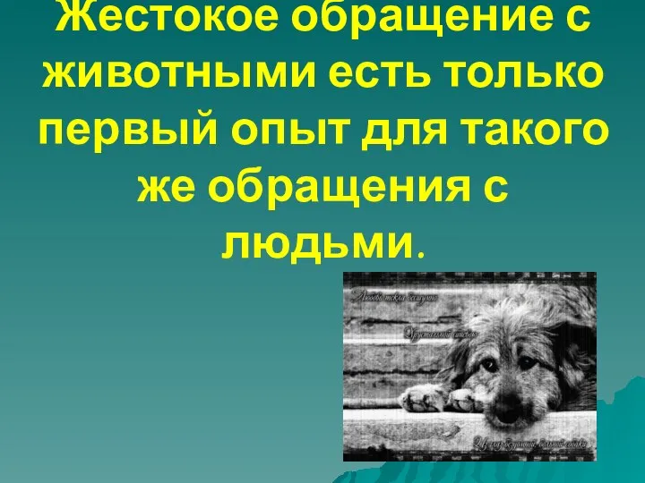 Жестокое обращение с животными есть только первый опыт для такого же обращения с людьми.