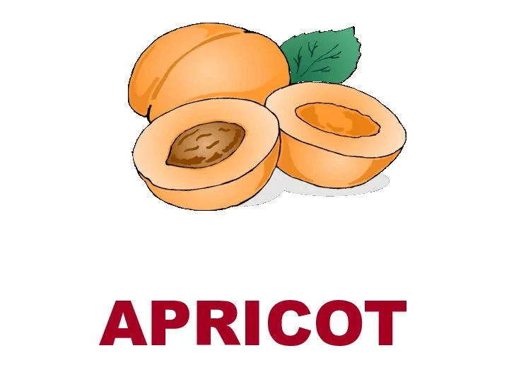 APRICOT