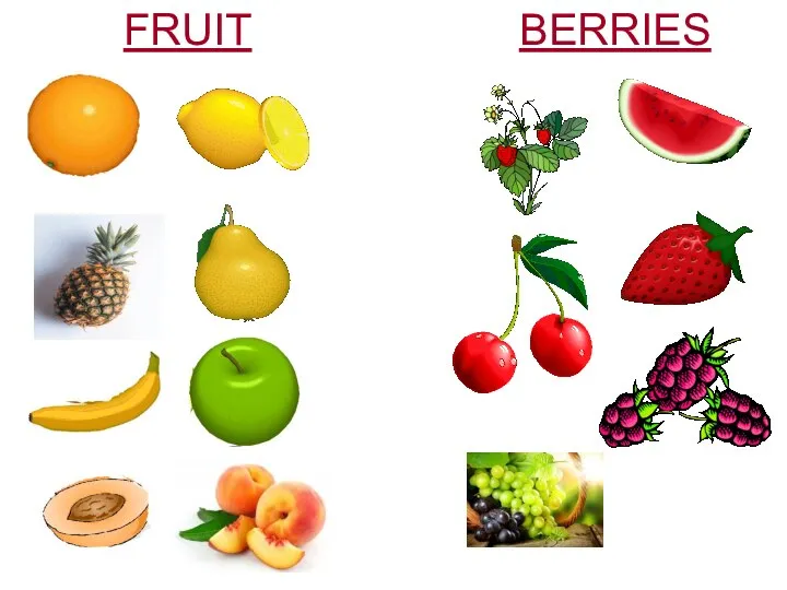 FRUIT BERRIES