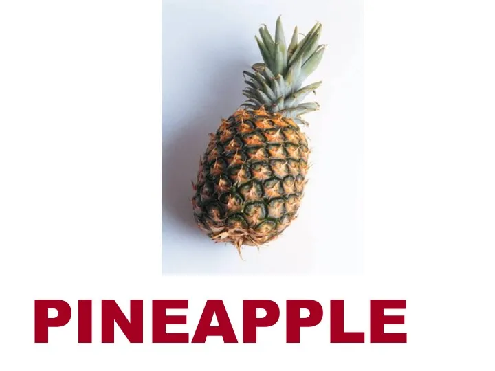 PINEAPPLE