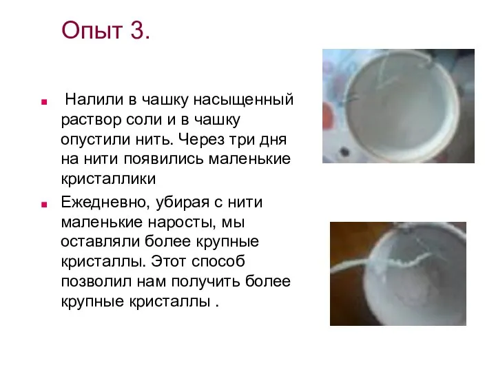 Опыт 3. Налили в чашку насыщенный раствор соли и в чашку