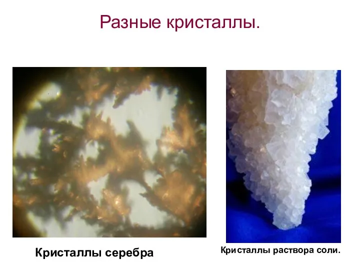 Разные кристаллы. Кристаллы серебра Кристаллы раствора соли.
