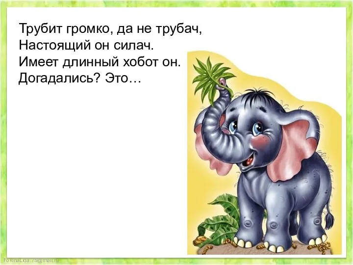 Трубит громко, да не трубач, Настоящий он силач. Имеет длинный хобот он. Догадались? Это…