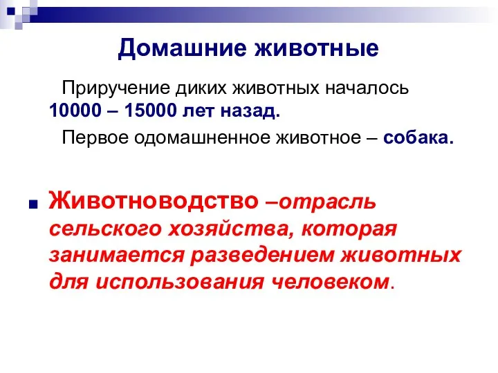 Домашние животные Приручение диких животных началось 10000 – 15000 лет назад.