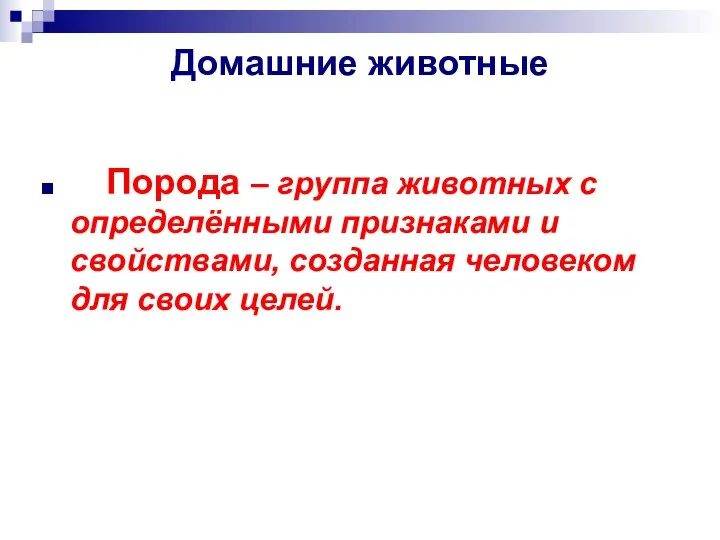 Домашние животные Порода – группа животных с определёнными признаками и свойствами, созданная человеком для своих целей.