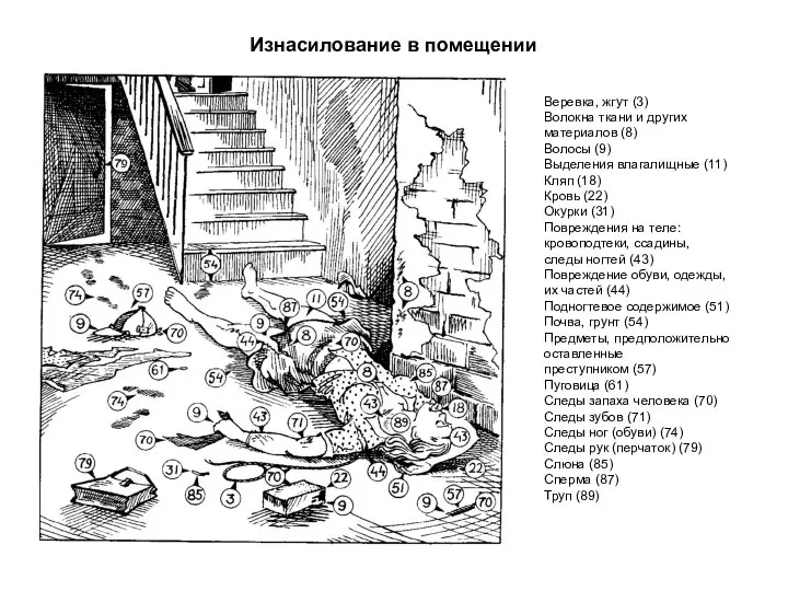 Изнасилование в помещении Веревка, жгут (3) Волокна ткани и других материалов