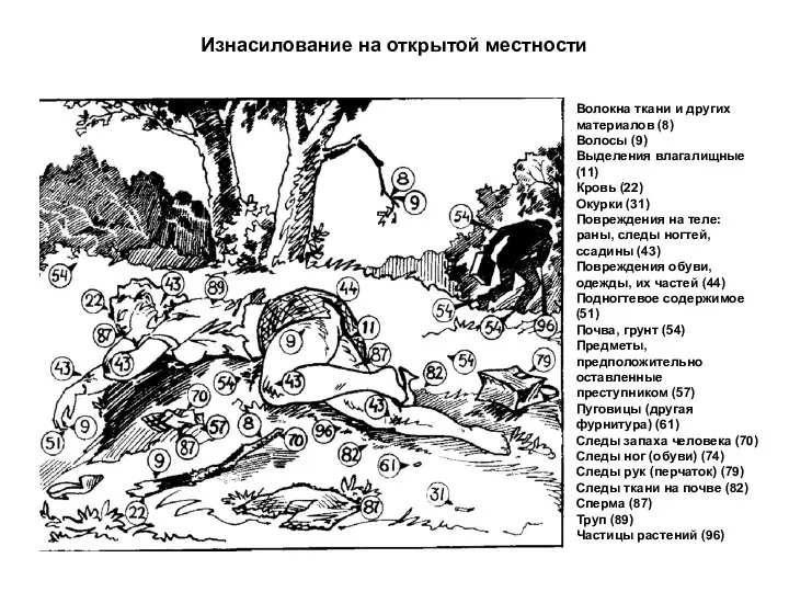 Изнасилование на открытой местности Волокна ткани и других материалов (8) Волосы