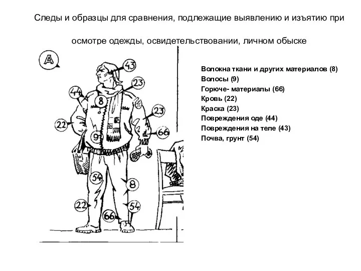 Следы и образцы для сравнения, подлежащие выявлению и изъятию при осмотре