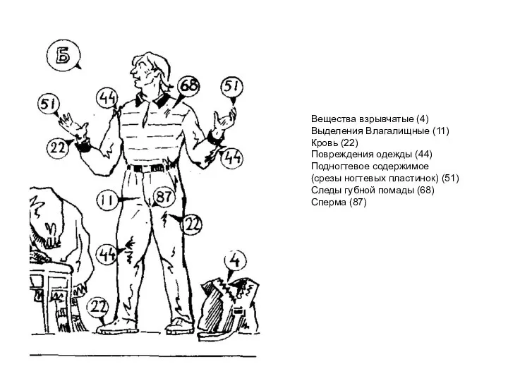 Вещества взрывчатые (4) Выделения Влагалищные (11) Кровь (22) Повреждения одежды (44)
