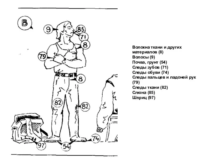 Волокна ткани и других материалов (8) Волосы (9) Почва, грунт (54)