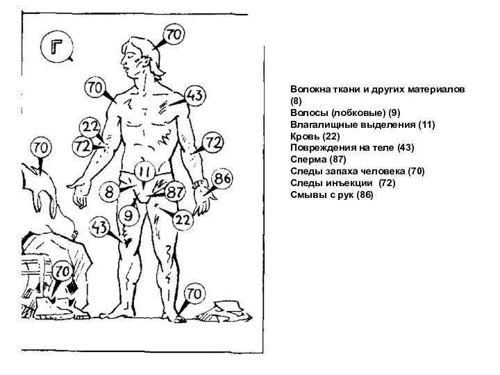 Волокна ткани и других материалов (8) Волосы (лобковые) (9) Влагалищные выделения