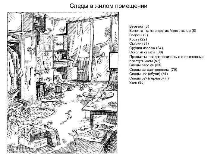 Следы в жилом помещении Веревка (3) Волокна ткани и других Материалов