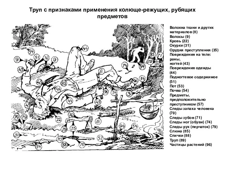 Труп с признаками применения колюще-режущих, рубящих предметов Волокна ткани и других