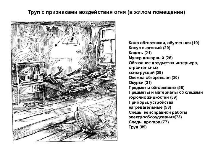 Труп с признаками воздействия огня (в жилом помещении) Кожа обгоревшая, обугленная