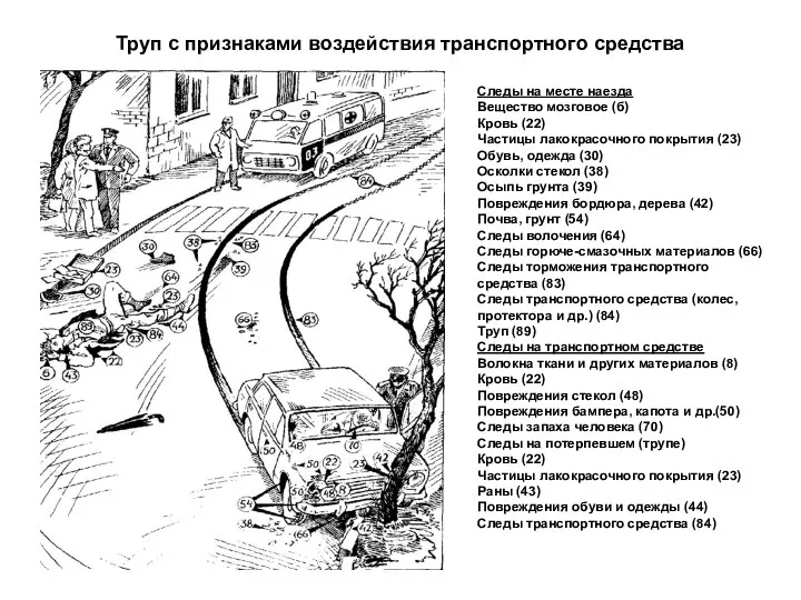 Труп с признаками воздействия транспортного средства Следы на месте наезда Вещество