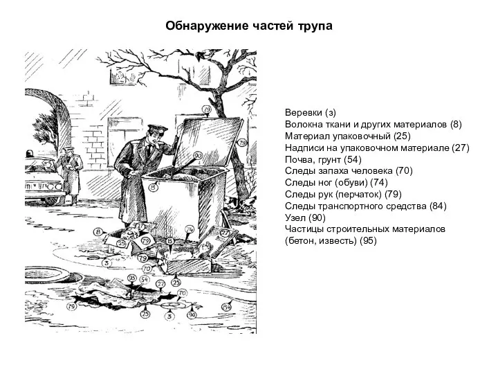 Обнаружение частей трупа Веревки (з) Волокна ткани и других материалов (8)