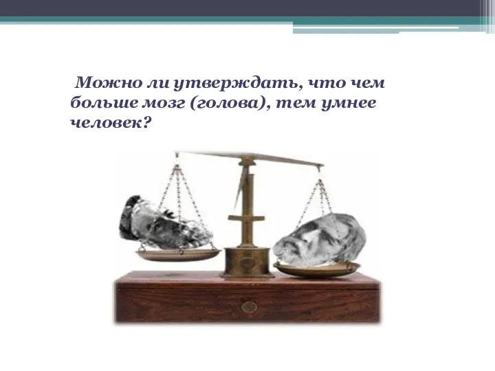 Можно ли утверждать, что чем больше мозг (голова), тем умнее человек?