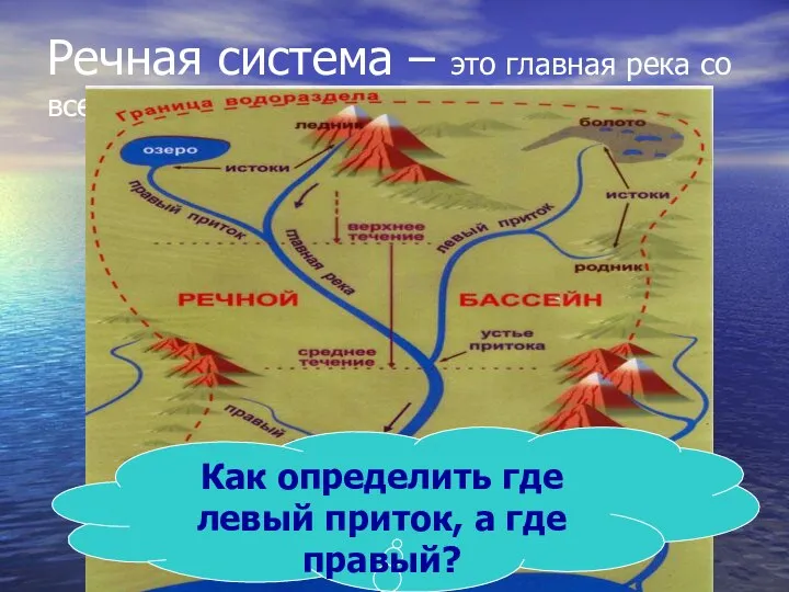 Речная система – это главная река со всеми притоками Как определить