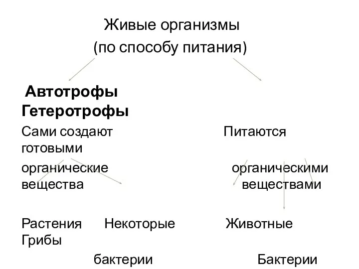 Живые организмы (по способу питания) Автотрофы Гетеротрофы Сами создают Питаются готовыми