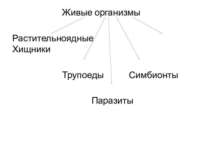 Живые организмы Растительноядные Хищники Трупоеды Симбионты Паразиты