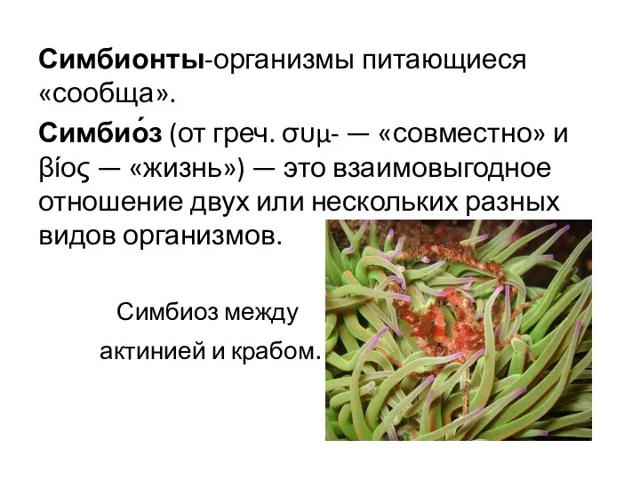 Симбионты-организмы питающиеся «сообща». Симбио́з (от греч. συμ- — «совместно» и βίος