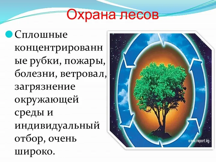 Охрана лесов Сплошные концентрированные рубки, пожары, болезни, ветровал, загрязнение окружающей среды и индивидуальный отбор, очень широко.