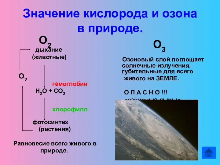 Значение кислорода и озона в природе. О2 дыхание (животные) О2 гемоглобин