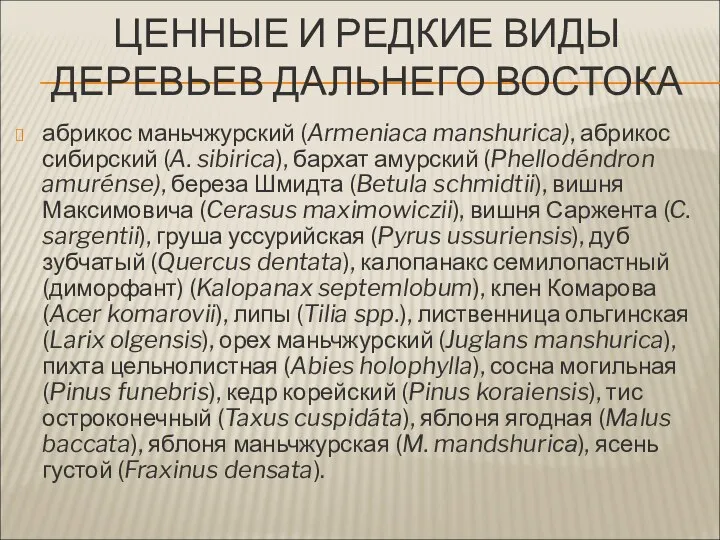 ЦЕННЫЕ И РЕДКИЕ ВИДЫ ДЕРЕВЬЕВ ДАЛЬНЕГО ВОСТОКА абрикос маньчжурский (Armeniaca manshurica),