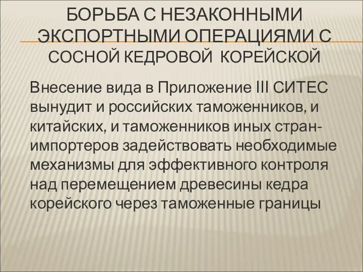 БОРЬБА С НЕЗАКОННЫМИ ЭКСПОРТНЫМИ ОПЕРАЦИЯМИ С СОСНОЙ КЕДРОВОЙ КОРЕЙСКОЙ Внесение вида