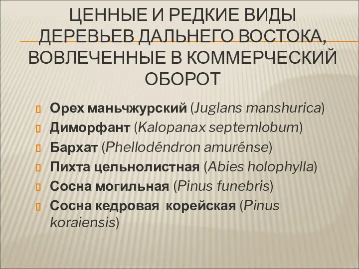 ЦЕННЫЕ И РЕДКИЕ ВИДЫ ДЕРЕВЬЕВ ДАЛЬНЕГО ВОСТОКА, ВОВЛЕЧЕННЫЕ В КОММЕРЧЕСКИЙ ОБОРОТ