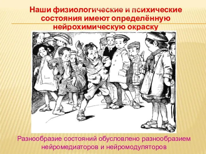 Наши физиологические и психические состояния имеют определённую нейрохимическую окраску Дневное отделение