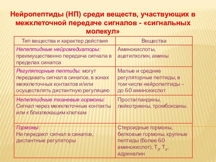 Дневное отделение фармацевтического факультета Нейропептиды (НП) среди веществ, участвующих в межклеточной передаче сигналов - «сигнальных молекул»