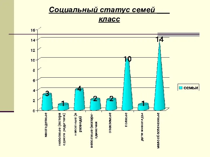 Социальный статус семей ___ класс