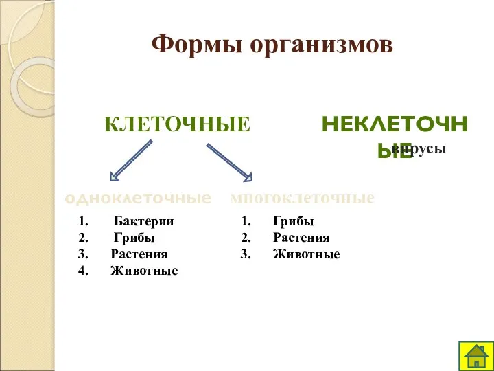 Формы организмов НЕКЛЕТОЧНЫЕ вирусы