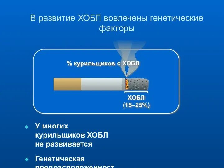 В развитие ХОБЛ вовлечены генетические факторы ХОБЛ (15–25%) У многих курильщиков