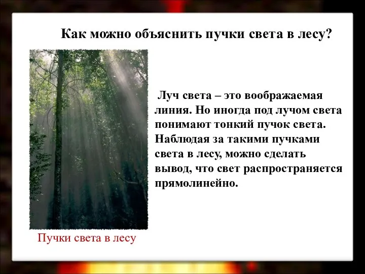 Пучки света в лесу Луч света – это воображаемая линия. Но