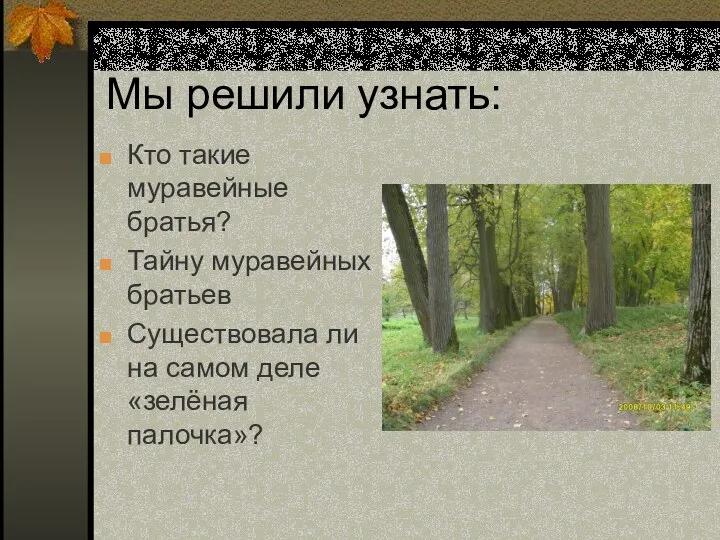 Мы решили узнать: Кто такие муравейные братья? Тайну муравейных братьев Существовала