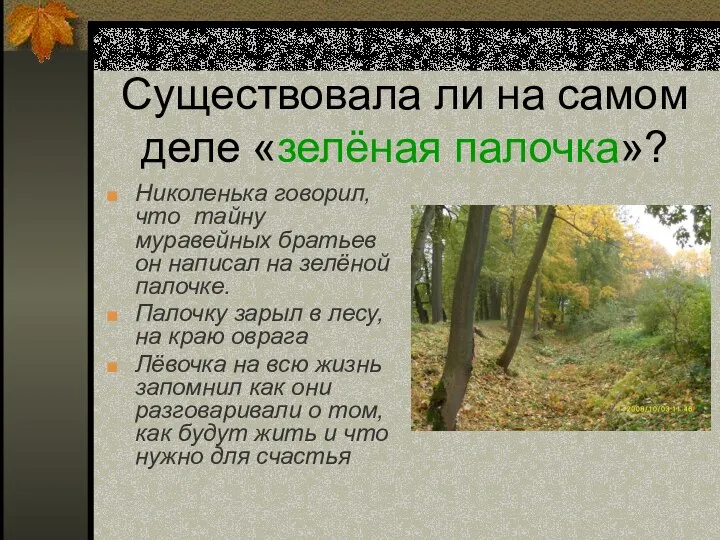 Существовала ли на самом деле «зелёная палочка»? Николенька говорил, что тайну