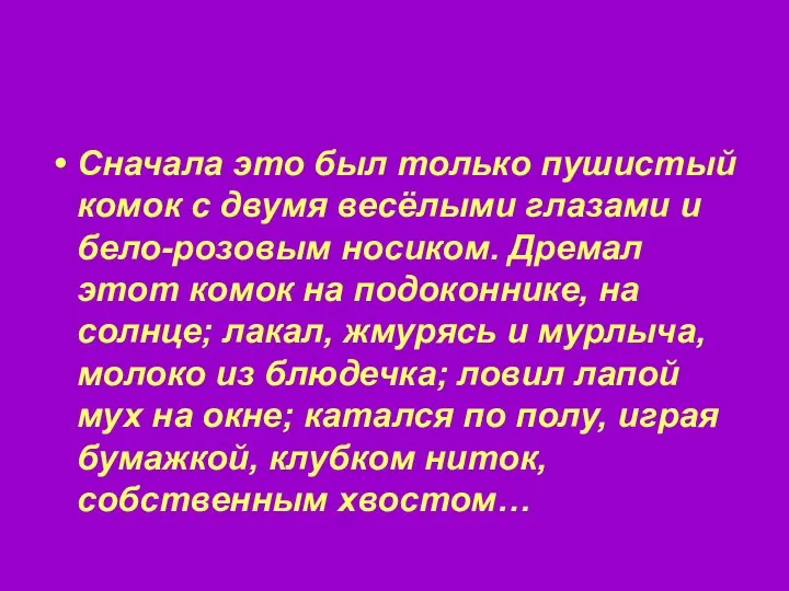 Сначала это был только пушистый комок с двумя весёлыми глазами и