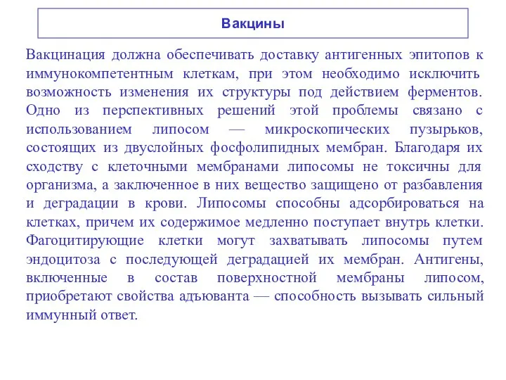 Вакцины Вакцинация должна обеспечивать доставку антигенных эпитопов к иммунокомпетентным клеткам, при