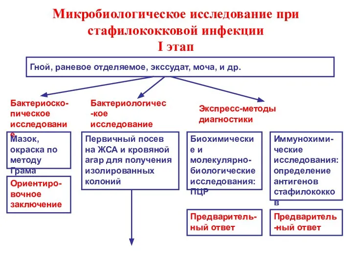 Микробиологическое исследование при стафилококковой инфекции I этап Гной, раневое отделяемое, экссудат,