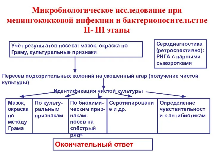 Микробиологическое исследование при менингококковой инфекции и бактерионосительстве II- III этапы Учёт