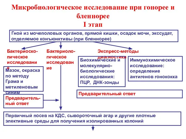 Микробиологическое исследование при гонорее и бленнорее I этап Гной из мочеполовых