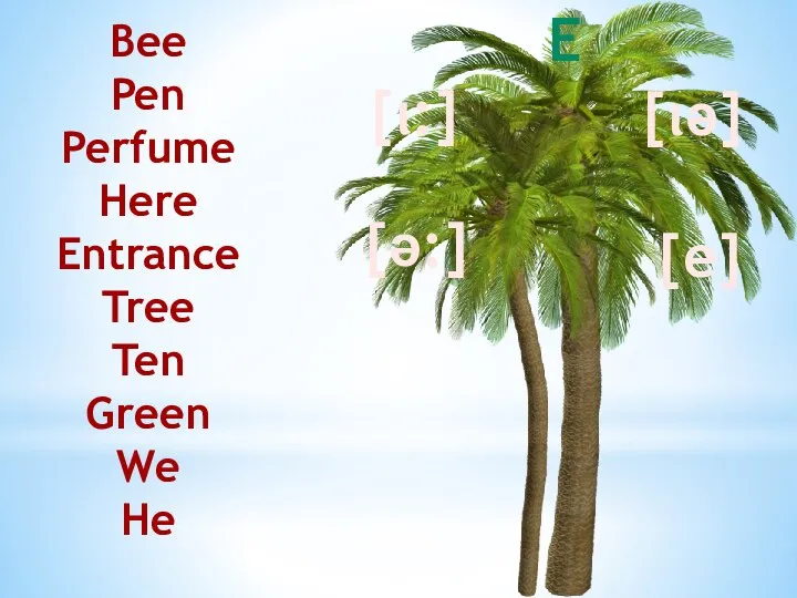Bee Pen Perfume Here Entrance Tree Ten Green We He E [ι:] [ә:] [ιә] [e]