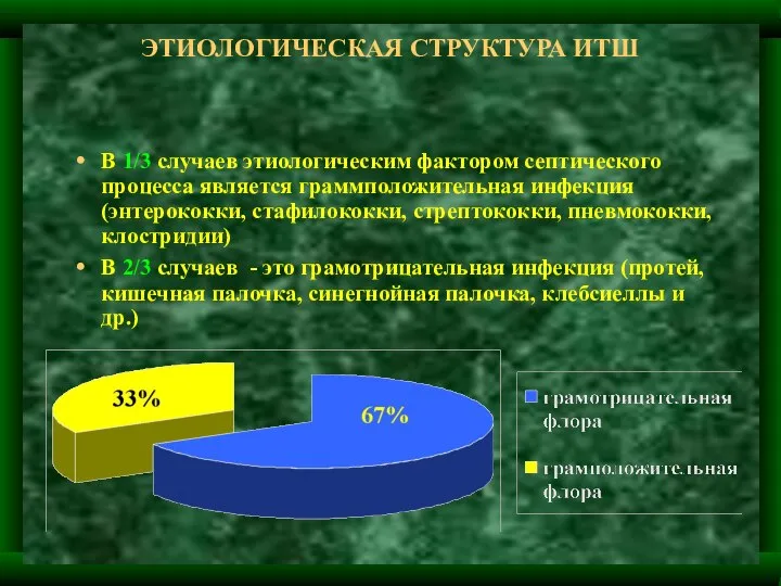 ЭТИОЛОГИЧЕСКАЯ СТРУКТУРА ИТШ В 1/3 случаев этиологическим фактором септического процесса является