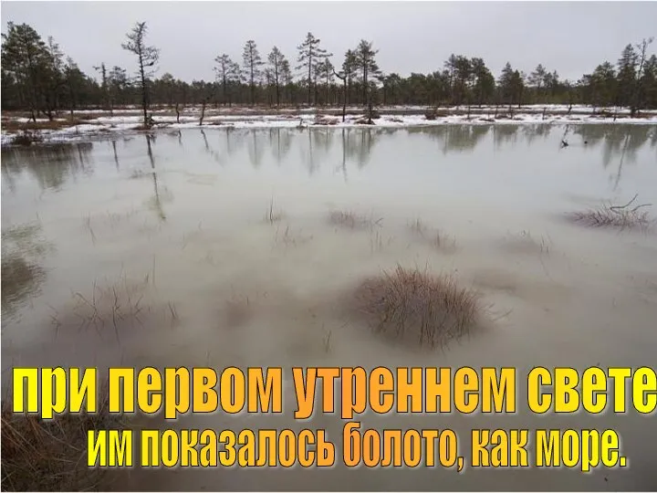 им показалось болото, как море. при первом утреннем свете